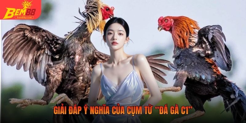 Giải đáp ý nghĩa của cụm từ “đá gà C1”