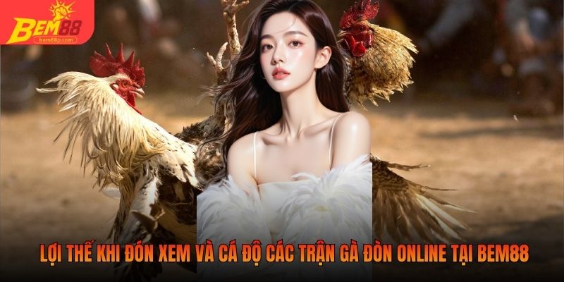 Lợi thế khi đón xem và cá độ các trận gà đòn online tại Bem88