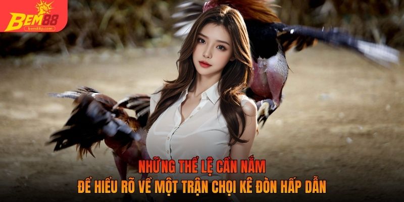 Những thể lệ cần nắm để hiểu rõ về một trận chọi kê đòn hấp dẫn