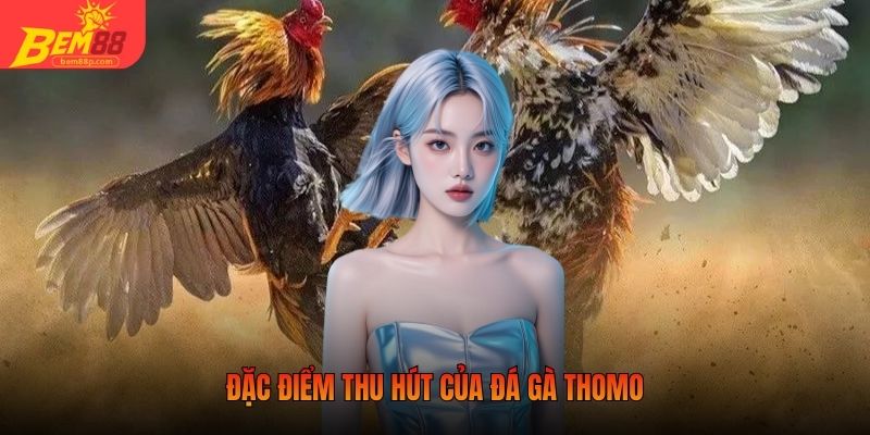 Đặc điểm thu hút của đá gà Thomo