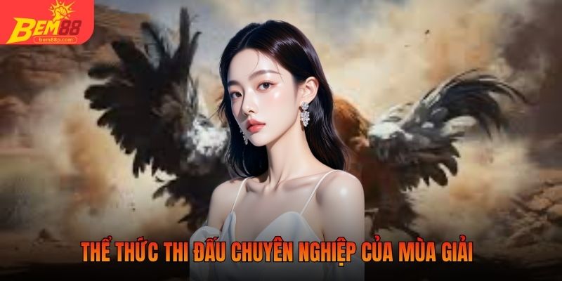 Thể thức thi đấu chuyên nghiệp của mùa giải