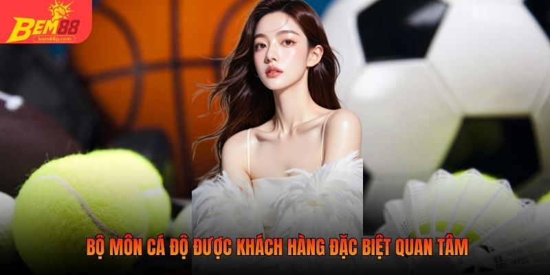 Bộ môn cá độ được khách hàng đặc biệt quan tâm