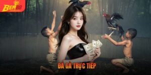 đá gà trực tiếp